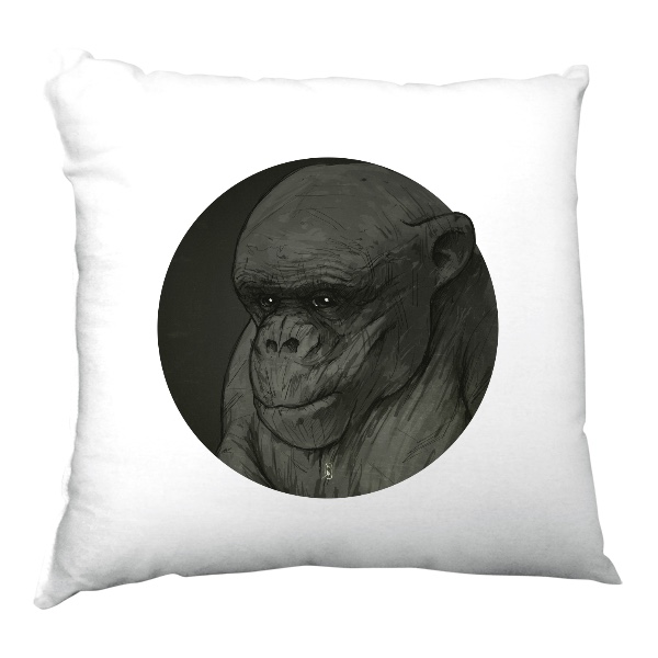 Polštář saténový s potiskem Bad Ape XIX" Polštářek