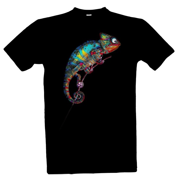 Barevný Chameleon